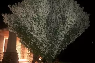 3673 Lerive Way, Chaska, MN 55318 - Photo 60