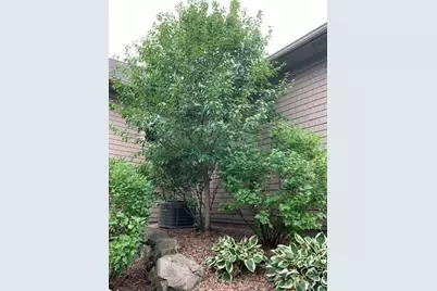 3673 Lerive Way, Chaska, MN 55318 - Photo 58