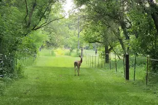 31572 Collegeville Rd, Saint Joseph, MN 56374 - Photo 10