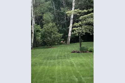 1295 Velvetleaf Lane, Lino Lakes, MN 55038 - Photo 60