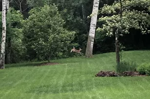 1295 Velvetleaf Ln, Lino Lakes, MN 55038 - Photo 60