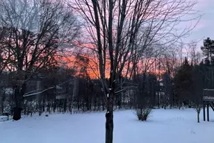 1295 Velvetleaf Ln, Lino Lakes, MN 55038 - Photo 62