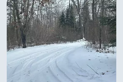 49128 Sandy Oak Drive, Deer River, MN 56636 - Photo 6