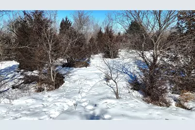 Tbd 320th Street, Stacy, MN 55079 - Photo 24