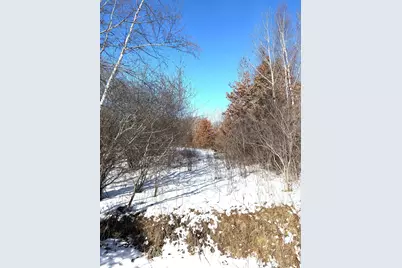 Tbd 320th Street, Stacy, MN 55079 - Photo 32