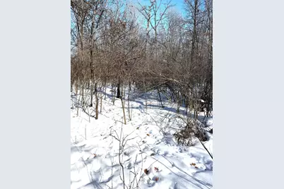 Tbd 320th Street, Stacy, MN 55079 - Photo 34