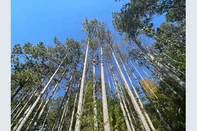 775 Grant Lake Lane SW, Bemidji, MN 56601 - Photo 32