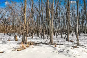 2818 337th Ln NW, Cambridge, MN 55008 - Photo 30