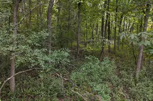 308 Sommers St N, North Hudson, WI 54016 - Photo 1