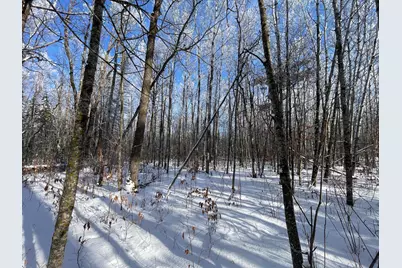 Tbd Old Long Lake Road NW, Bemidji, MN 56601 - Photo 24