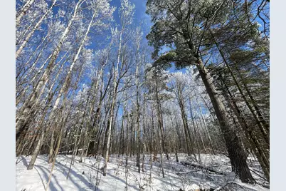 Tbd Old Long Lake Road NW, Bemidji, MN 56601 - Photo 22