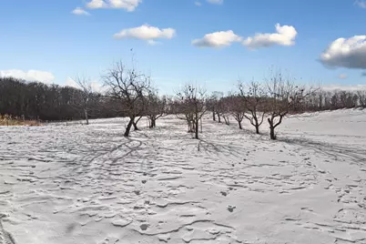 14343 Fairbanks Avenue, Lonsdale, MN 55046 - Photo 58