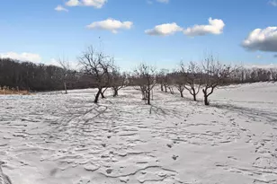 14343 Fairbanks Ave, Lonsdale, MN 55046 - Photo 58