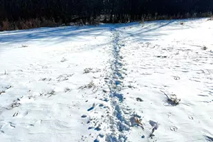 14343 Fairbanks Ave, Lonsdale, MN 55046 - Photo 62