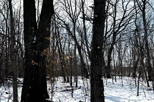 14343 Fairbanks Ave, Lonsdale, MN 55046 - Photo 64