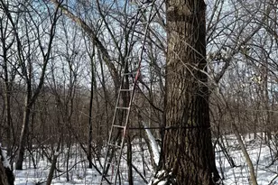 14343 Fairbanks Ave, Lonsdale, MN 55046 - Photo 72