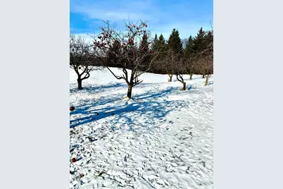 14343 Fairbanks Avenue, Lonsdale, MN 55046 - Photo 60