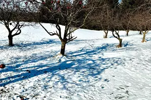 14343 Fairbanks Ave, Lonsdale, MN 55046 - Photo 60