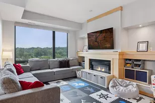 256 Spring St, Saint Paul, MN 55102 - Photo 20