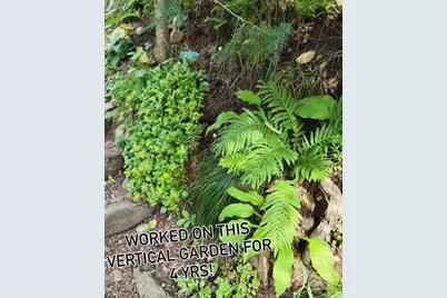 217 Cedar Drive W, Hudson, WI 54016 - Photo 66