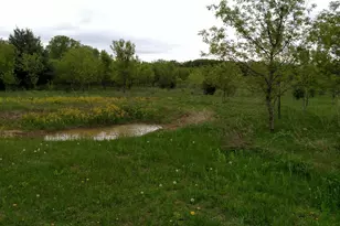 W11213 840th Ave, River Falls, WI 54022 - Photo 74