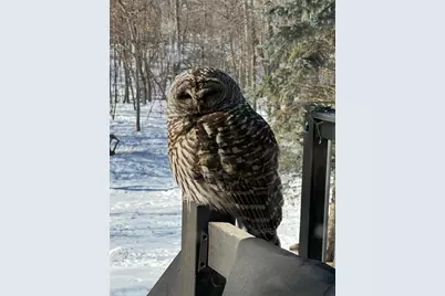 379 Jandel Avenue NE, Hanover, MN 55341 - Photo 70