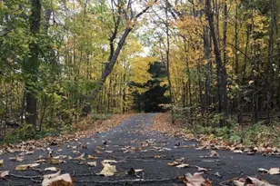 379 Jandel Ave NE, Hanover, MN 55341 - Photo 64