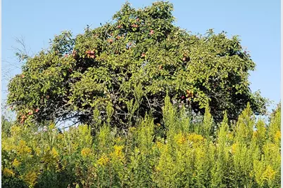 2651 New Century Boulevard S, Maplewood, MN 55119 - Photo 34