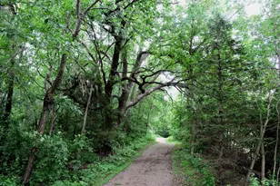 2651 New Century Blvd S, Maplewood, MN 55119 - Photo 34