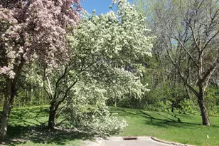 2651 New Century Blvd S, Maplewood, MN 55119 - Photo 36