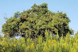 2651 New Century Blvd S, Maplewood, MN 55119 - Photo 38