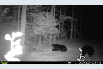 67246 340th Avenue, Hill City, MN 55748 - Photo 20