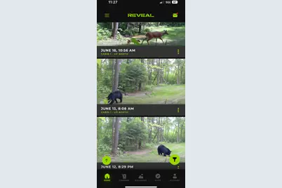 67246 340th Avenue, Hill City, MN 55748 - Photo 16