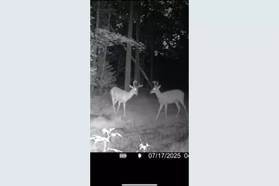 67246 340th Avenue, Hill City, MN 55748 - Photo 12