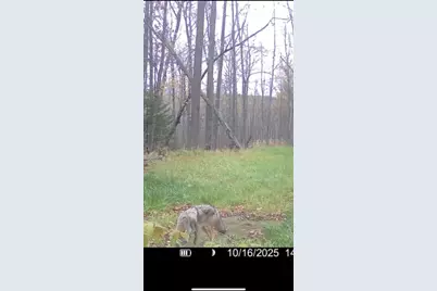 67246 340th Avenue, Hill City, MN 55748 - Photo 16