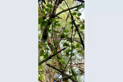 34644 Yak Street NW, Princeton, MN 55371 - Photo 40