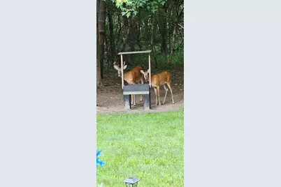 34644 Yak Street NW, Princeton, MN 55371 - Photo 38