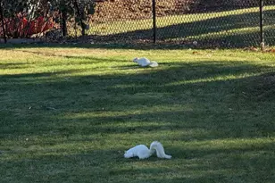 608 Fairview Cir, Farmington, MN 55024 - Photo 32