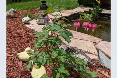 608 Fairview Circle, Farmington, MN 55024 - Photo 36