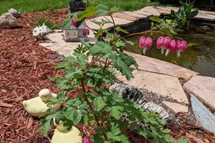 608 Fairview Cir, Farmington, MN 55024 - Photo 36