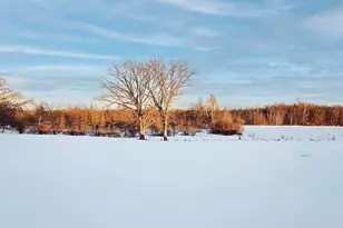 18385 County Rd 3 NE, Miltona Township, MN 56354 - Photo 6