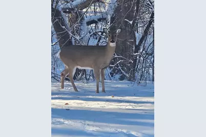 12118 Bluebird Circle NW, Coon Rapids, MN 55448 - Photo 24