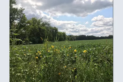 1405 Hamel Road, Medina, MN 55340 - Photo 1