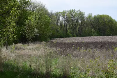 1405 Hamel Road, Medina, MN 55340 - Photo 8