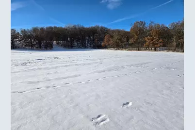 20.05 Acres County Road N, Wheeler, WI 54772 - Photo 8