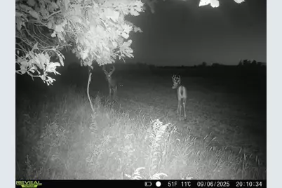 20.05 Acres County Road N, Wheeler, WI 54772 - Photo 12