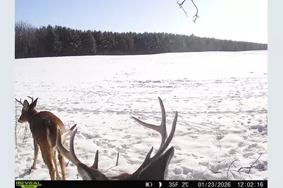 20.05 Acres County Road N, Wheeler, WI 54772 - Photo 10