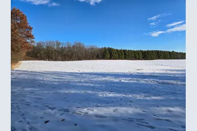 20.05 Acres County Road N, Wheeler, WI 54772 - Photo 4