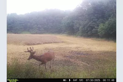 20.05 Acres County Road N, Wheeler, WI 54772 - Photo 14