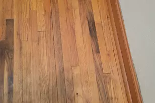 404 N Vine St, Fergus Falls, MN 56537 - Photo 34